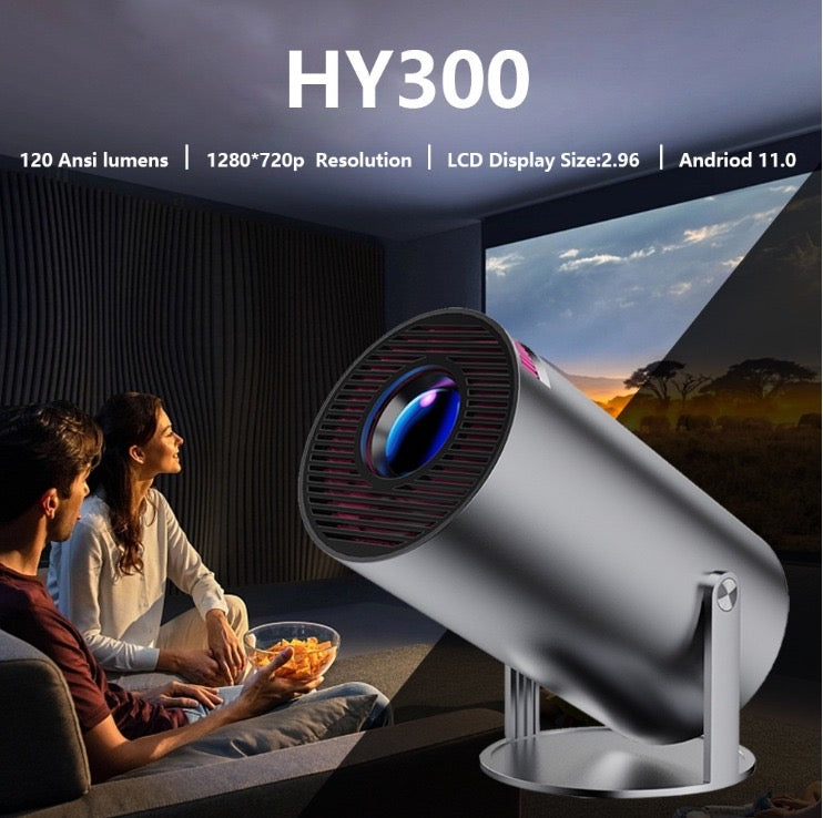 HY300